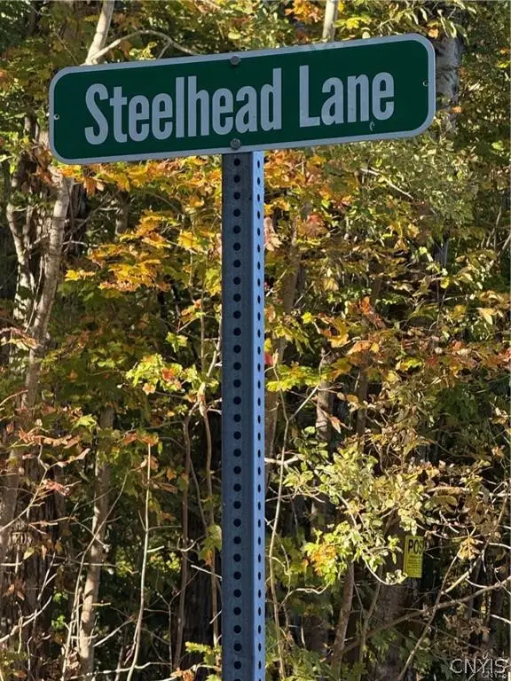 Steelhead Lane, Williamstown, NY 13493 - #3