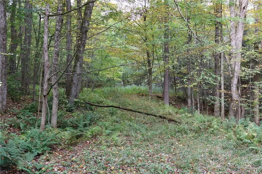 Lawrence Road, Sanford, NY 13865 - #2