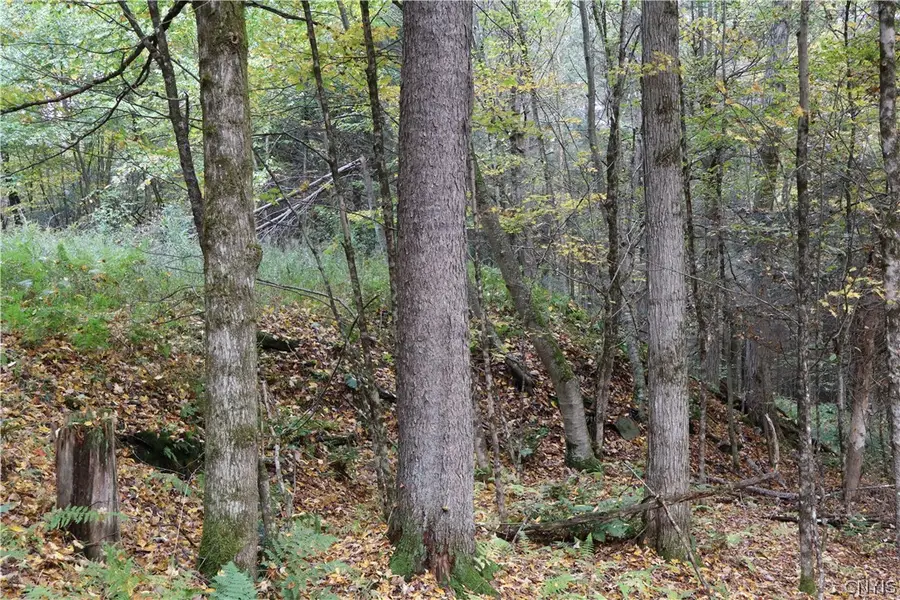 Lawrence Road, Sanford, NY 13865 - #3