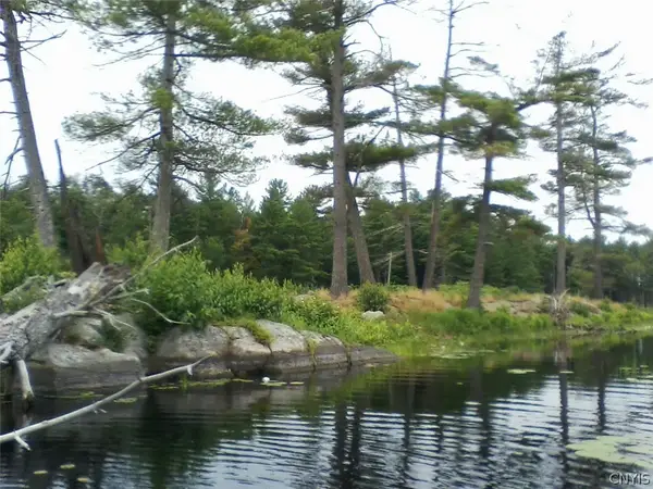 Island In Grass, Theresa, NY 13691