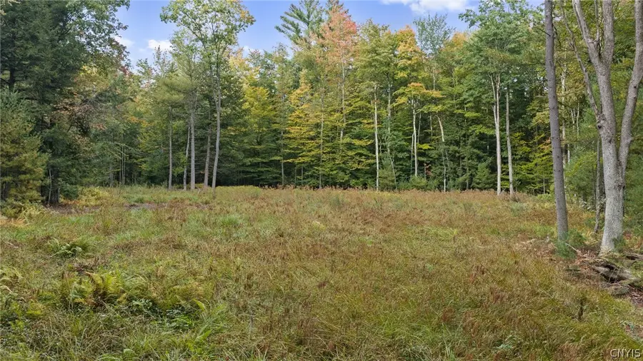1965 California Road, Camden, NY 13316 - #2