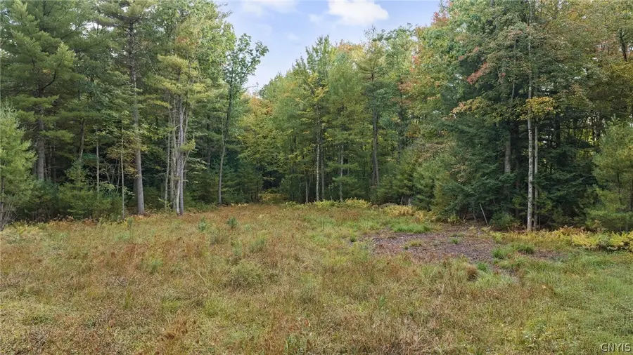 1965 California Road, Camden, NY 13316 - #3