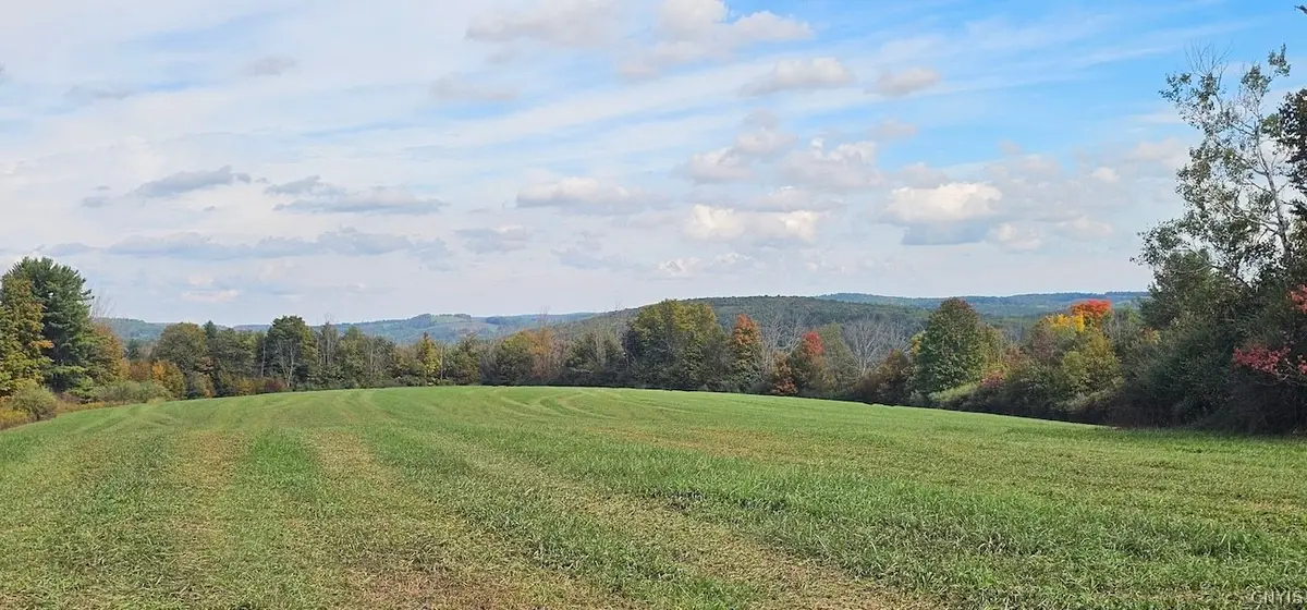 Learn Road, Rathbone, NY 14820 - #1