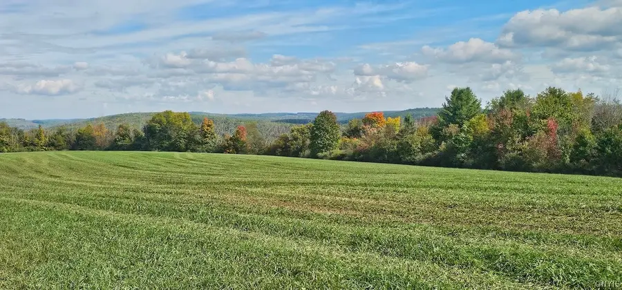 Learn Road, Rathbone, NY 14820 - #2