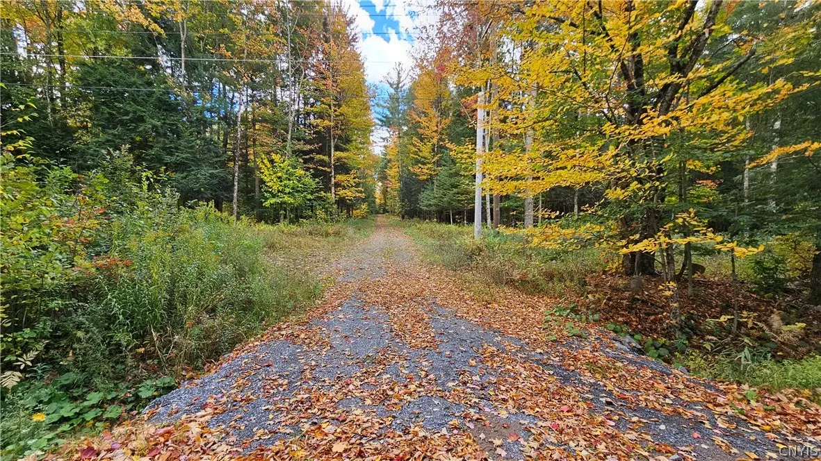 00 Bush, Croghan, NY 13327 - #1