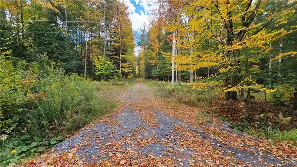 00 Bush, Croghan, NY 13327