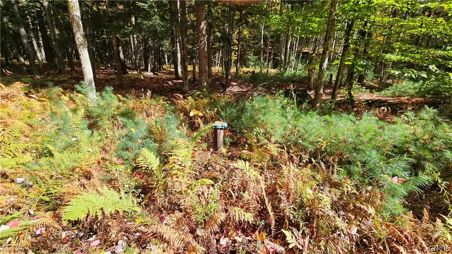 00 Bush, Croghan, NY 13327 - #2