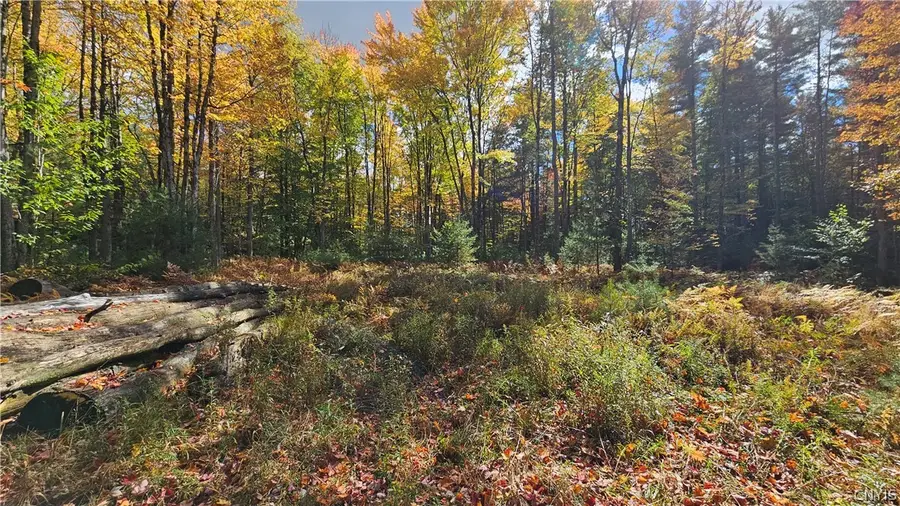 00 Bush, Croghan, NY 13327 - #3