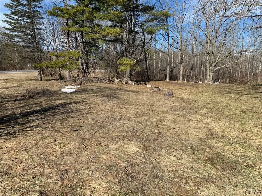 3 Hayfly Road, Oswego, NY 13126 - #2