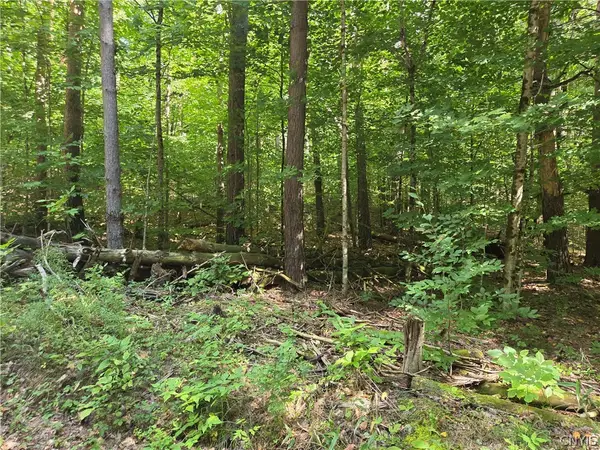 Lot 1 George Hill Road, Glenfield, NY 13343