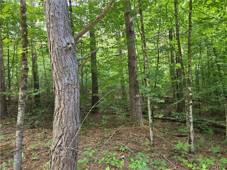Lot 1 George Hill Road, Glenfield, NY 13343 - #2
