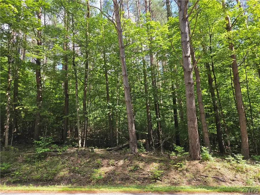 Lot 1 George Hill Road, Glenfield, NY 13343 - #3