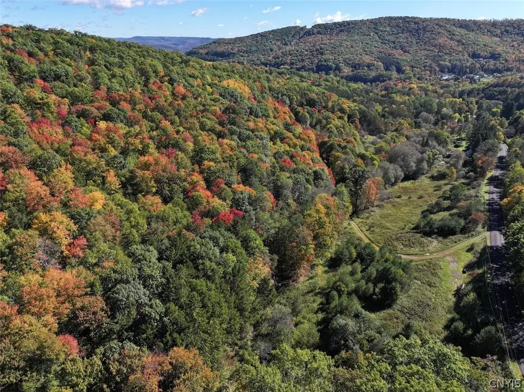Mccann Hollow Road, Olean, NY 14760 - #1
