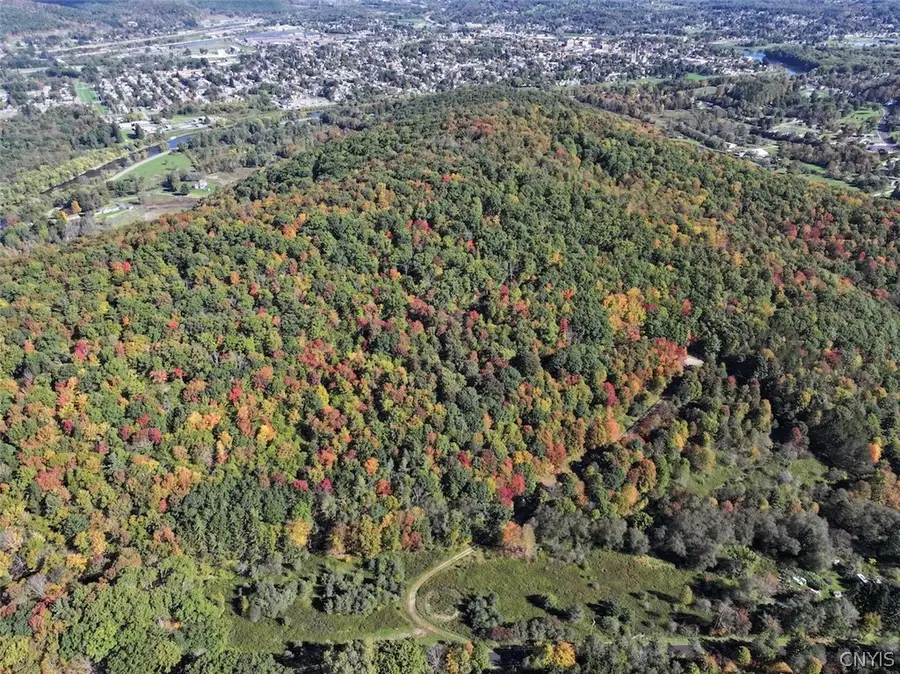 Mccann Hollow Road, Olean, NY 14760 - #3