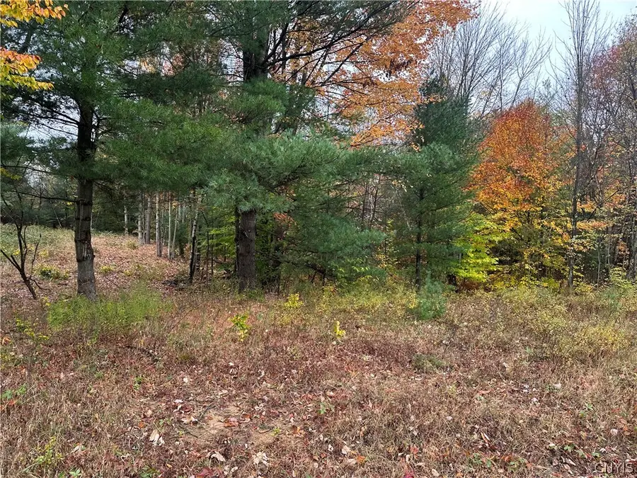 40550 State Route 3, Carthage, NY 13619 - #2