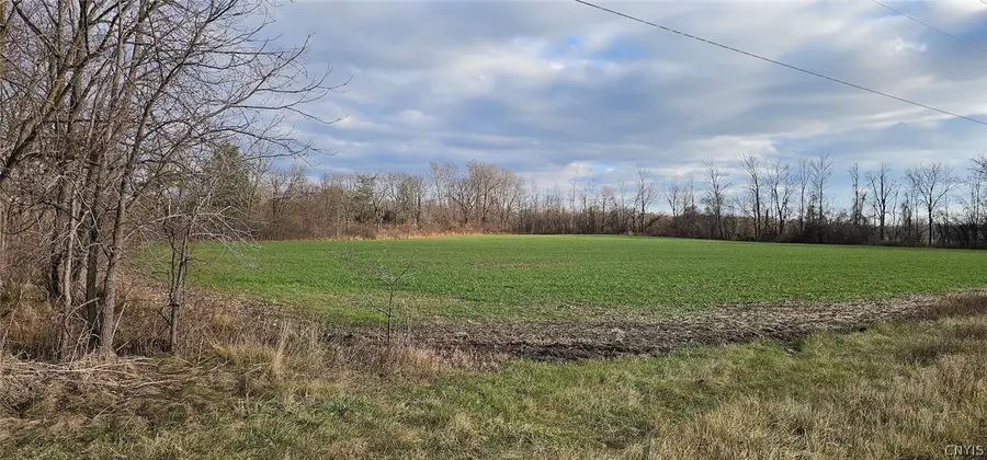 Rte 96a, Ovid, NY 14521 - #2