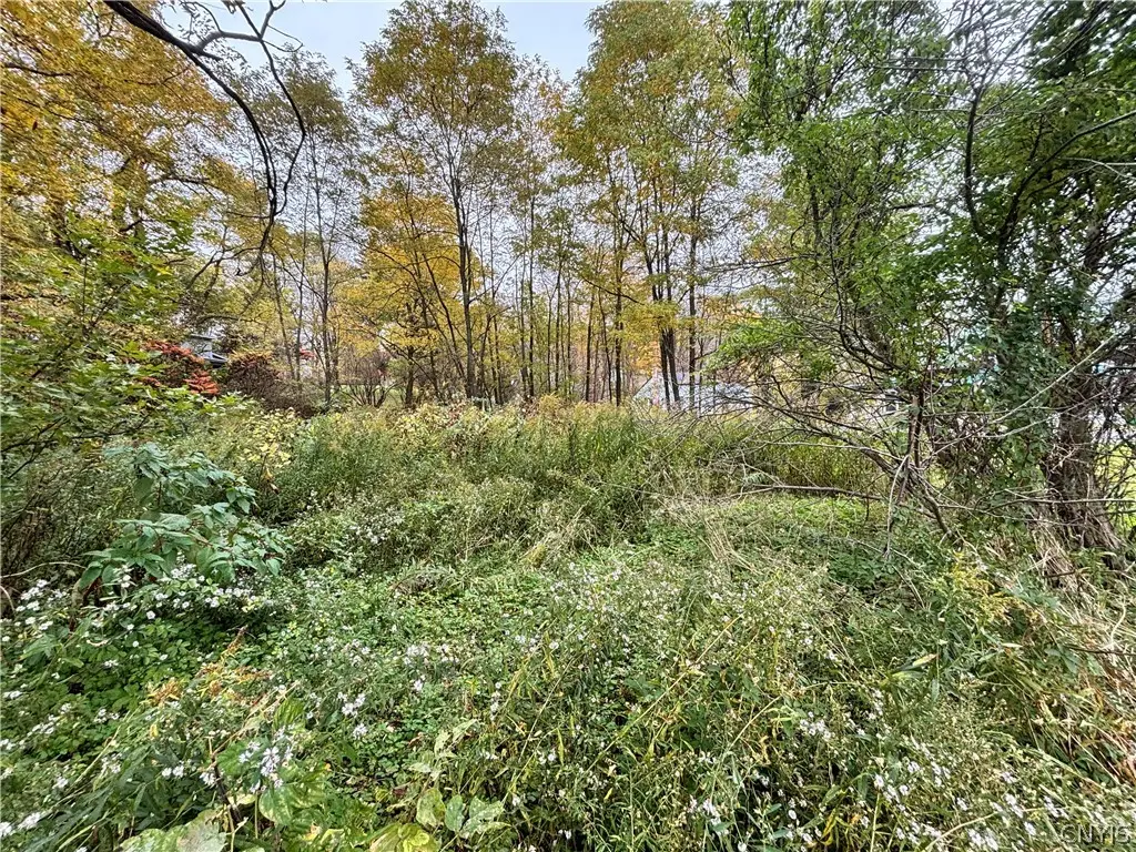 6313 Academy Street, Truxton, NY 13158 - #1