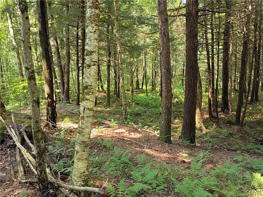 Tomahawk, Forestport, NY 13338 - #2