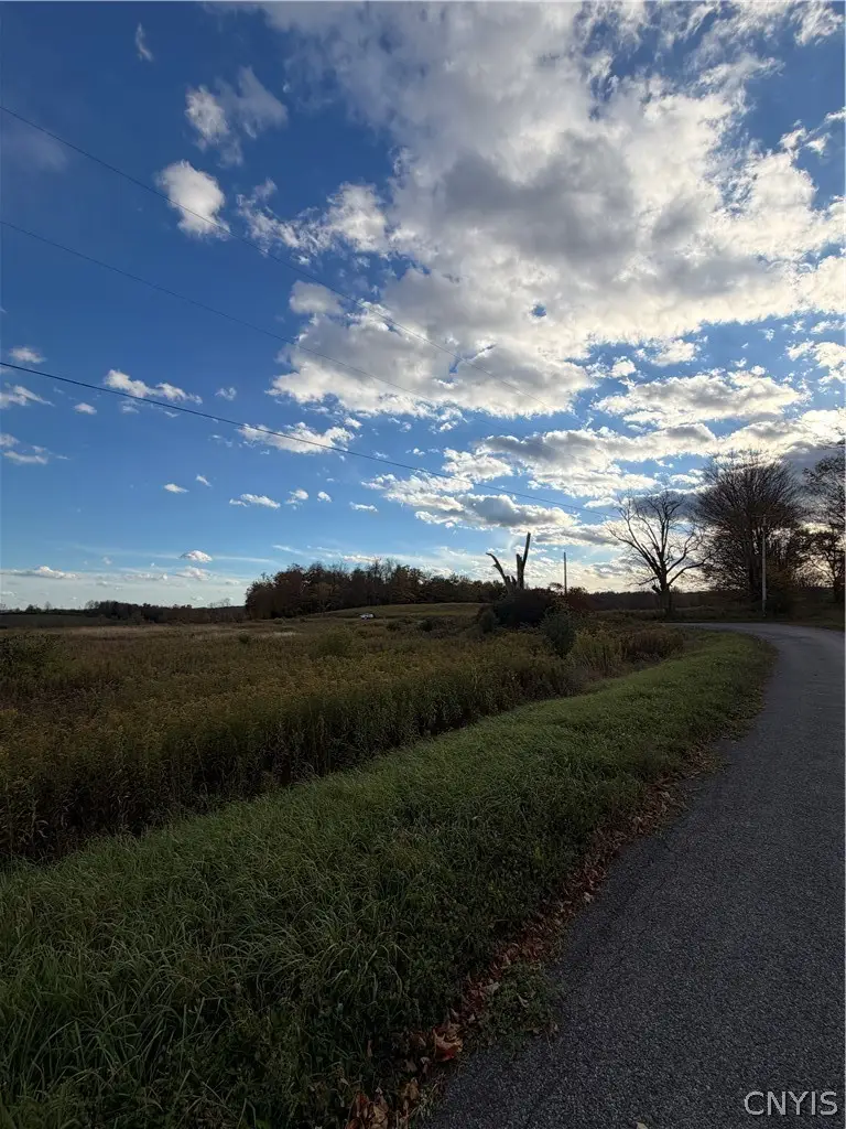 Chesebro Road, West Edmeston, NY 13485 - #1