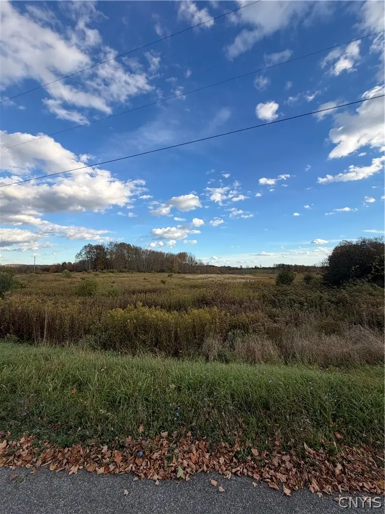 Chesebro Road, West Edmeston, NY 13485 - #2
