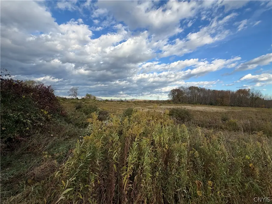 Chesebro Road, West Edmeston, NY 13485 - #3