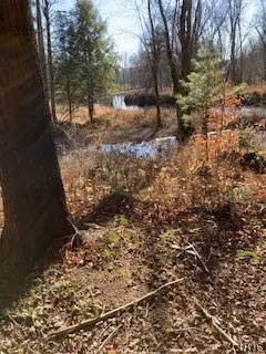 13869 Middle Branch Road, Harrisville, NY 13648