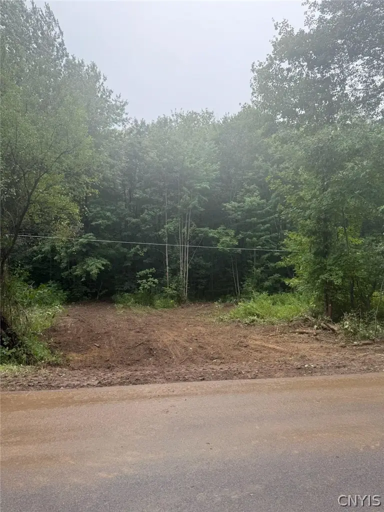 County Route 58, Mexico, NY 13114 - #3