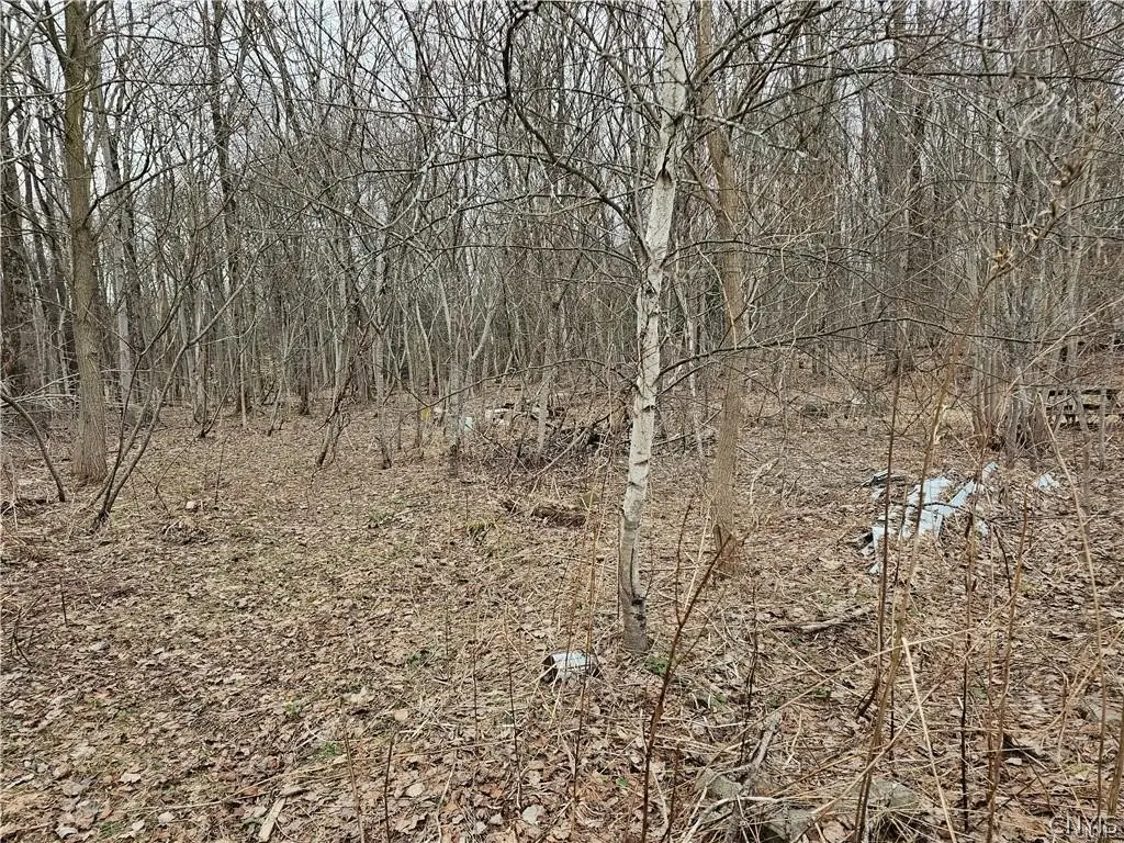 6985 Stearns Road, Rome, NY 13440 - #1