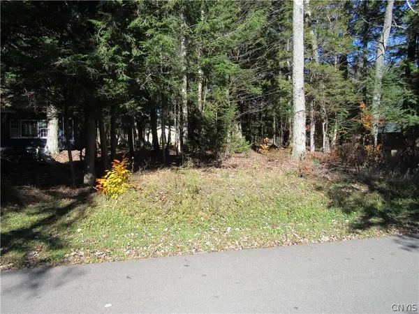 Brownwood Dr, Forestport, NY 13338