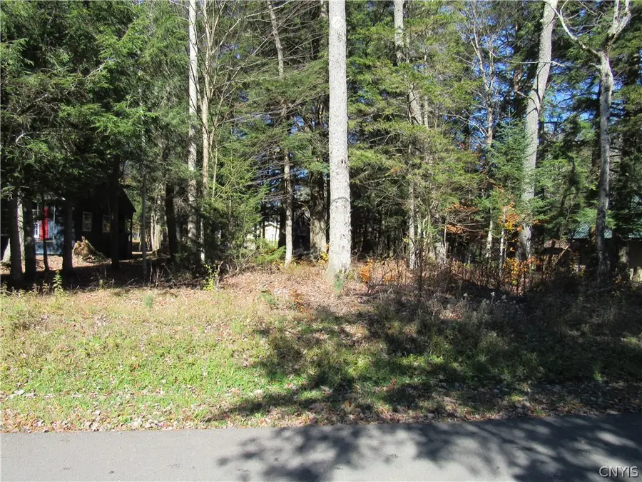 Brownwood Dr, Forestport, NY 13338 - #2