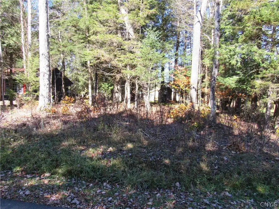 Brownwood Dr, Forestport, NY 13338 - #3