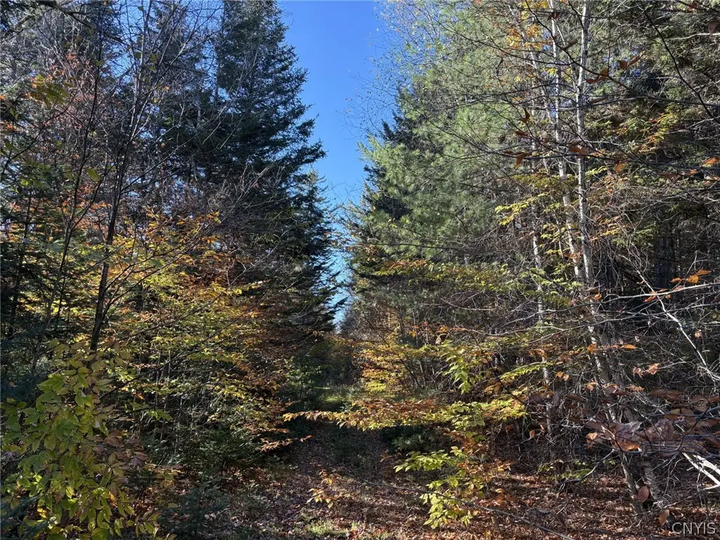 00 Stormy Hill Road, Cold Brook, NY 13324 - #1