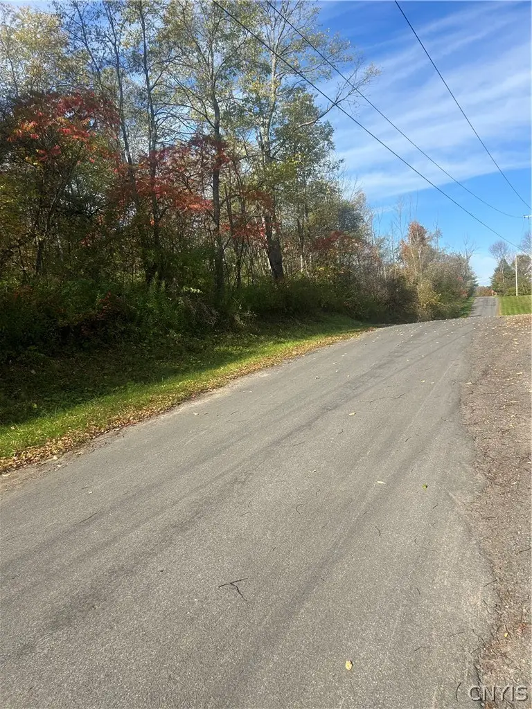 Blue Road, Deerfield, NY 13502 - #1