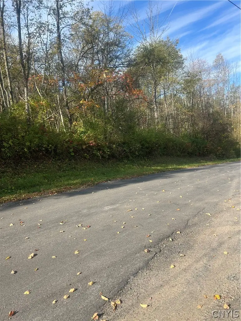 Blue Road, Deerfield, NY 13502 - #2