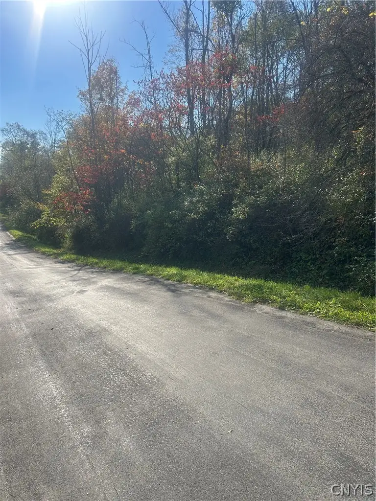 Blue Road, Deerfield, NY 13502 - #3