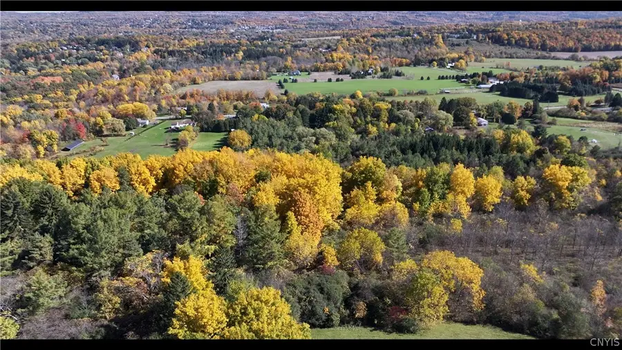 Henneberry Road, Manlius, NY 13104 - #2