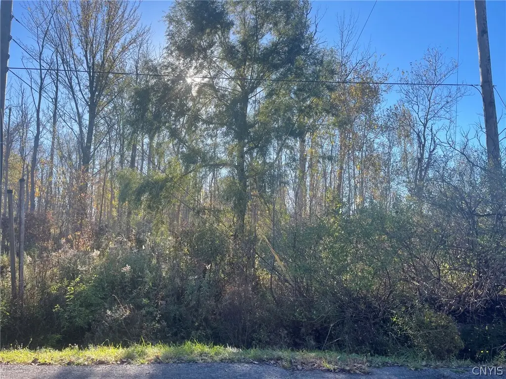 Williams Street, Oneida, NY 13421 - #1