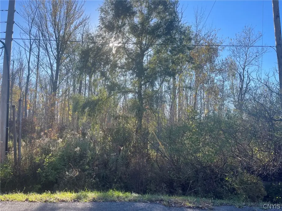Williams Street, Oneida, NY 13421 - #2