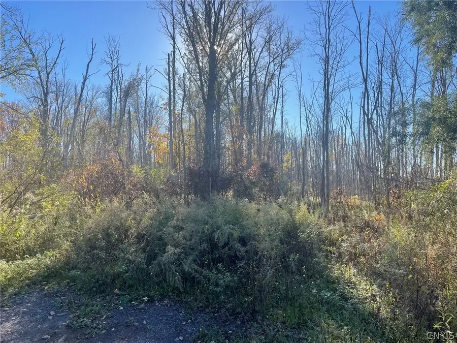 Williams Street, Oneida, NY 13421 - #3