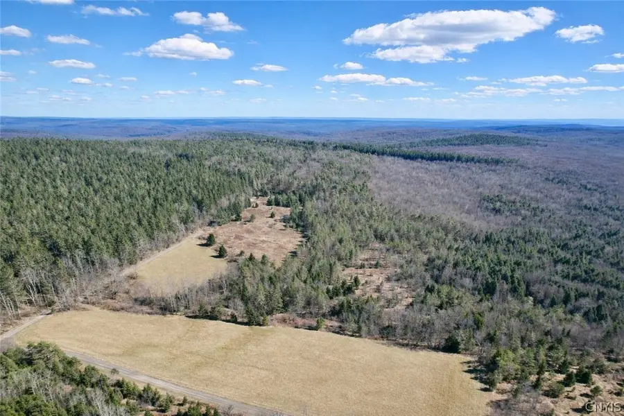 Springer Road, Deruyter, NY 13052 - #2