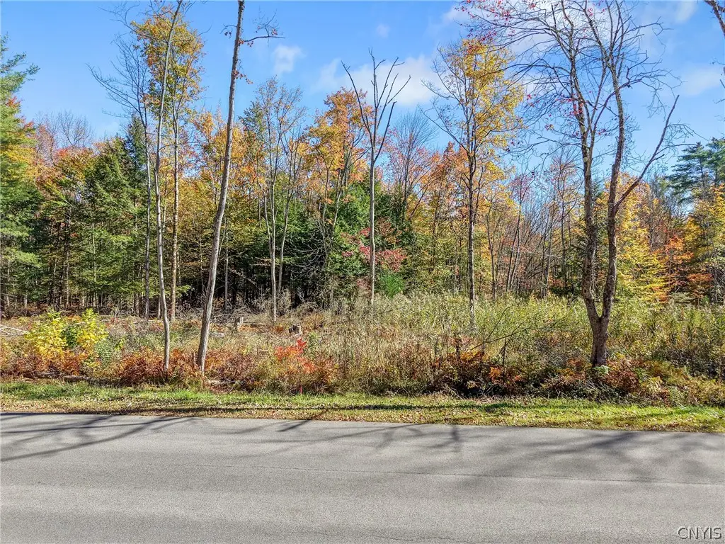 Lot 2 Martin Road, Cleveland, NY 13042 - #1