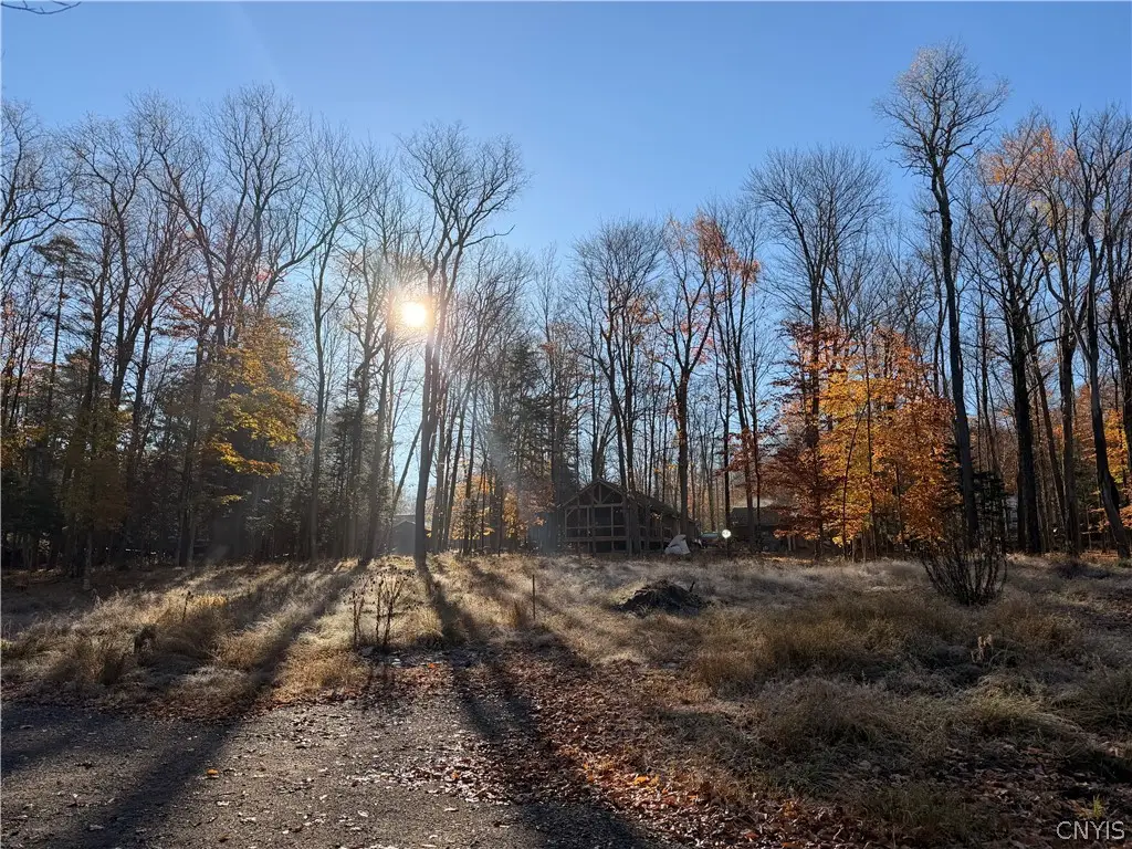 124 Long View Road W, Old Forge, NY 13420 - #1
