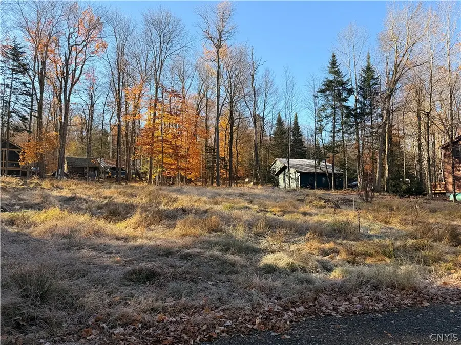 124 Long View Road W, Old Forge, NY 13420 - #2