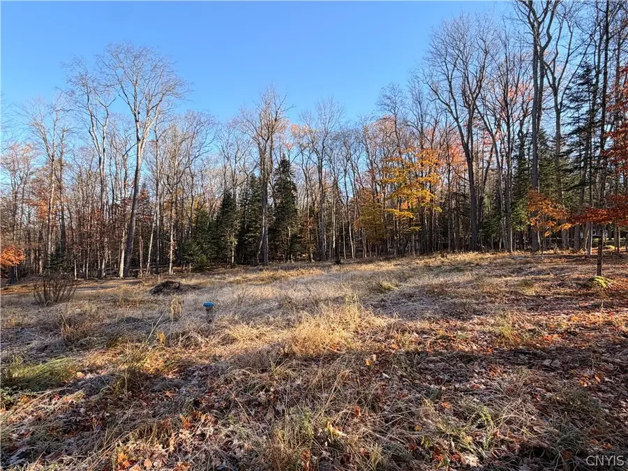 124 Long View Road W, Old Forge, NY 13420 - #3