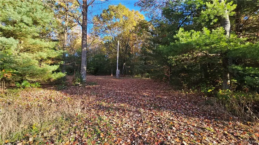 66 Gale Road, Cleveland, NY 13042 - #2