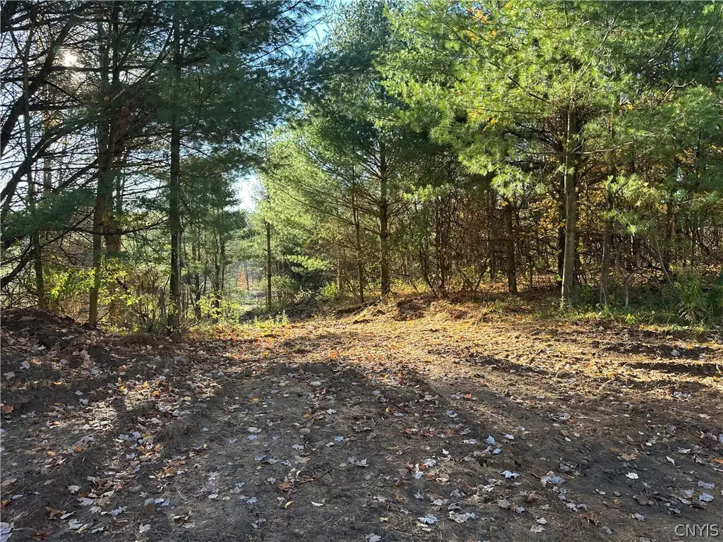 Wilna, Carthage, NY 13619 - #1