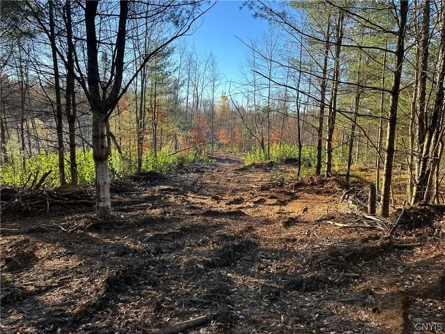 Wilna, Carthage, NY 13619 - #3