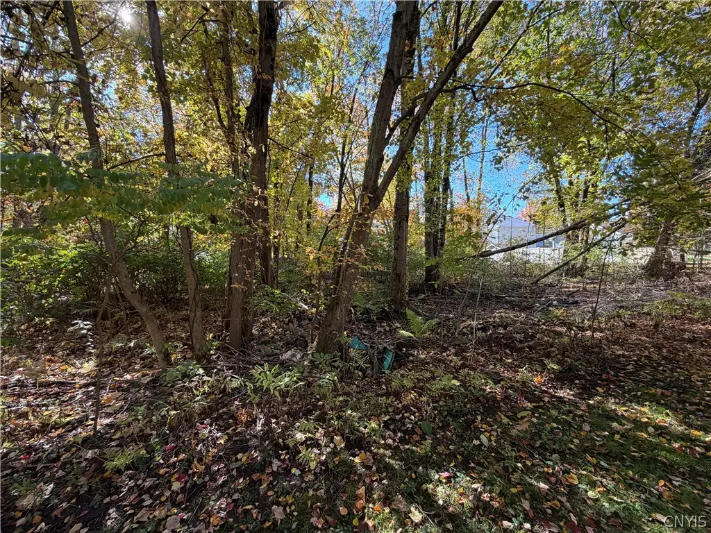lot 16 22nd, Blossvale, NY 13157 - #1