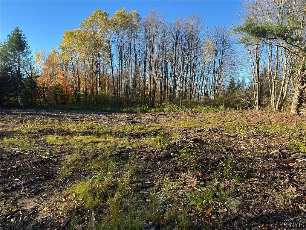 Wilna, Carthage, NY 13619 - #1