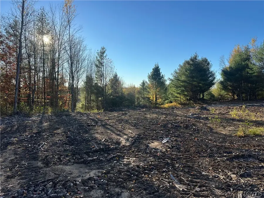 Wilna, Carthage, NY 13619 - #2